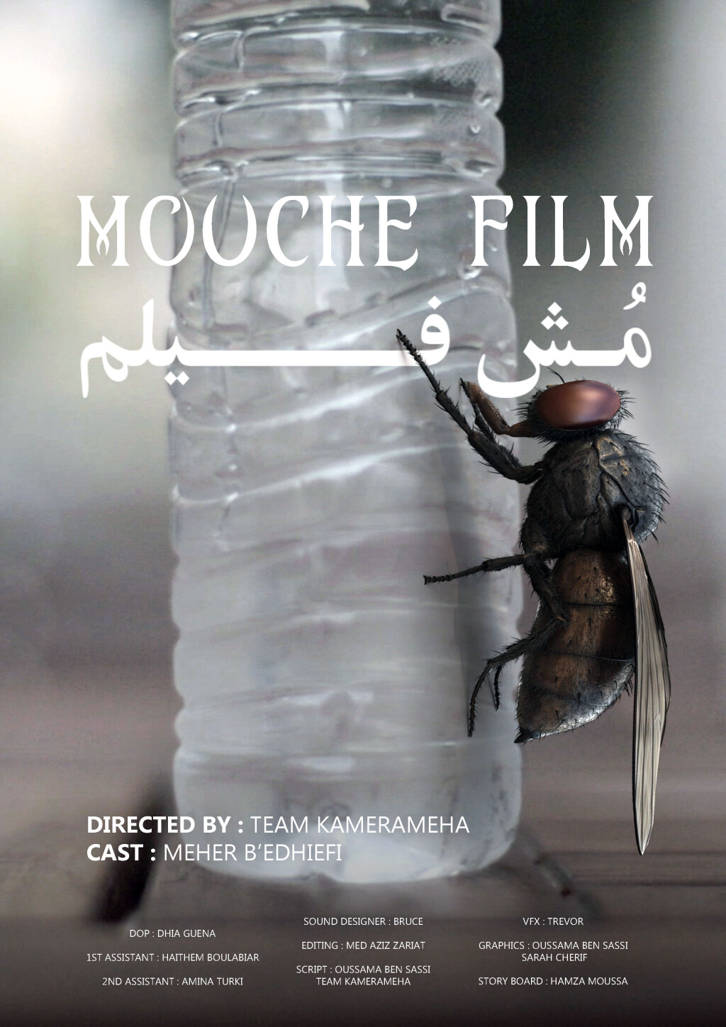 Filmposter for MOUCHE FILM